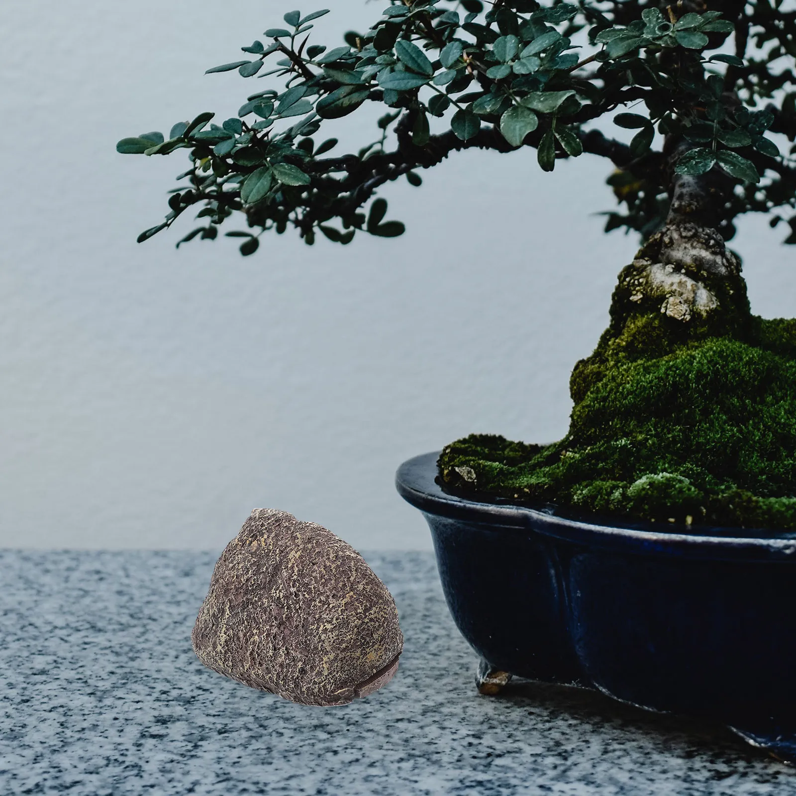 Каменная коробка - Фотография_3