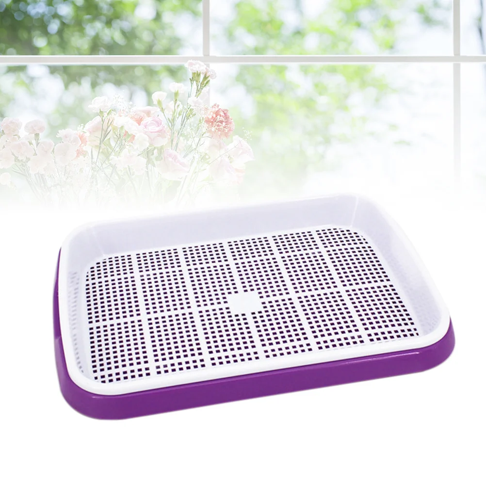 Набор лотков для ростков - Фотография_3