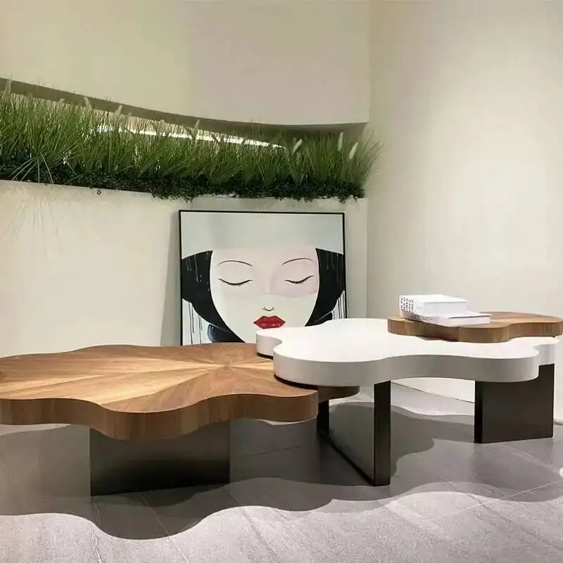 Центральная домашняя современная мебель - Фотография_3