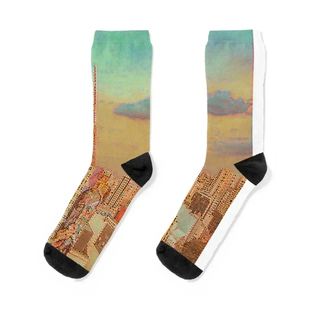 Sao paulo socks дизайнерская обувь