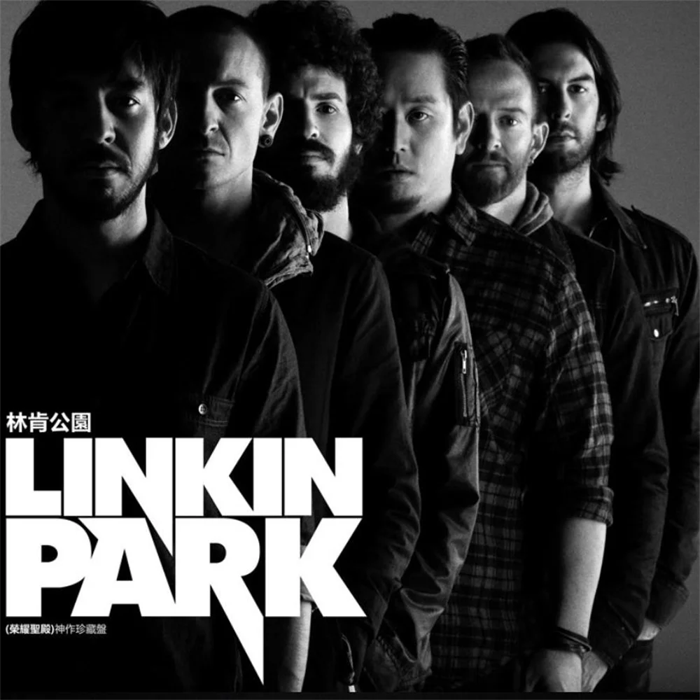 Черная виниловая пластинка - Фотография_6