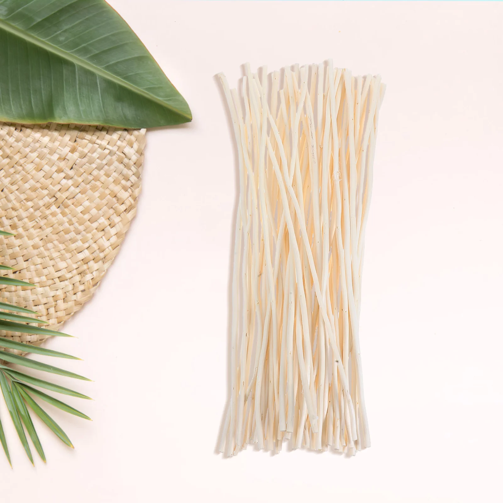 Сушеные натуральные ивы в стиле wabisabi - Фотография_5