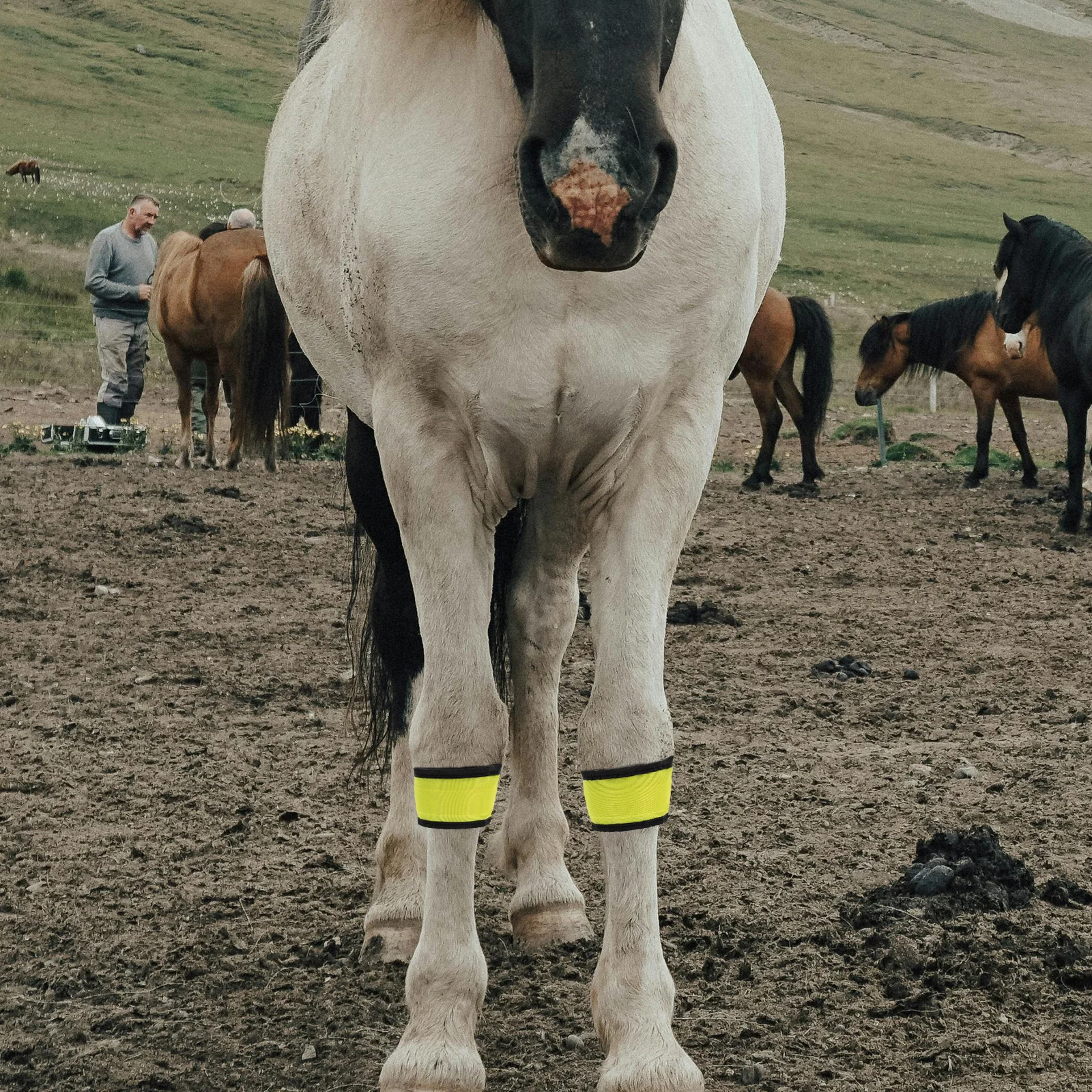 4-компонентный реквизит для поддержки лошади - Фотография_6