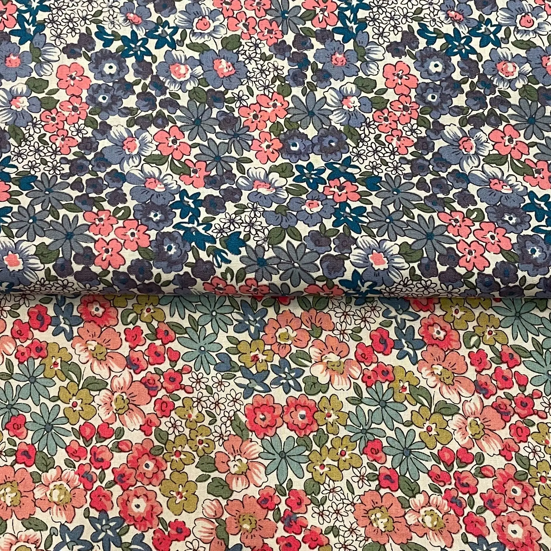 Libby красные цветы и растения