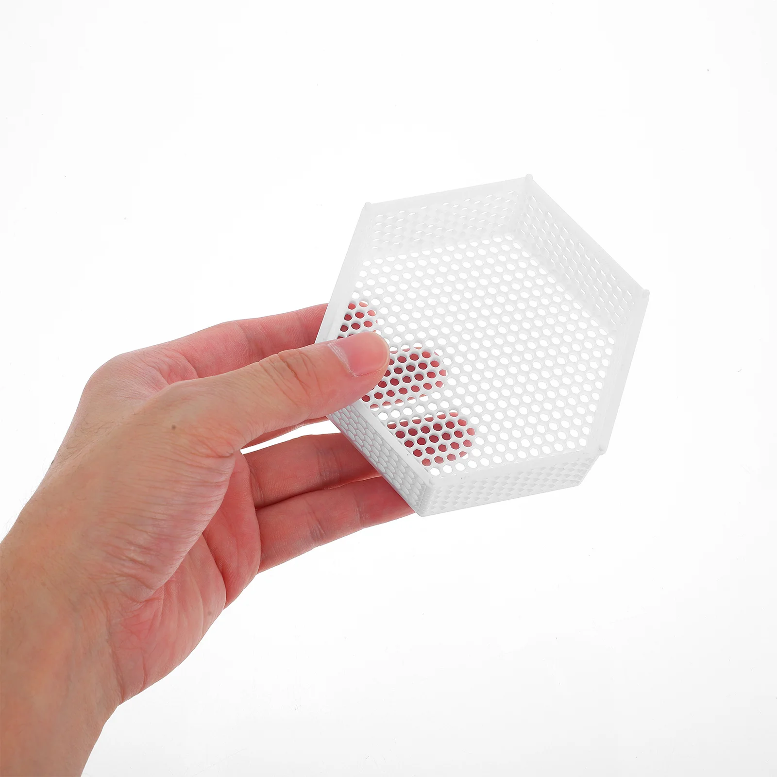 Рамка для посадки папоротника - Фотография_2