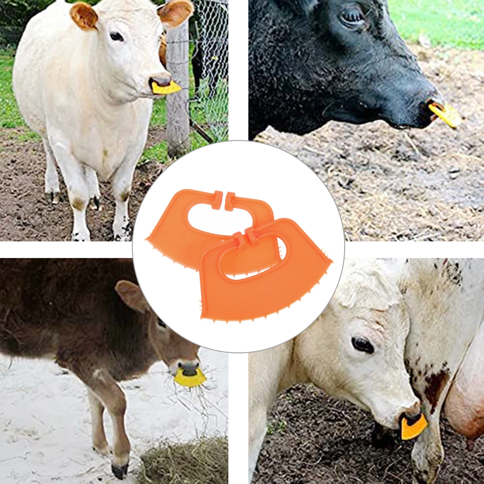 Зажим для носа быка - Фотография_3