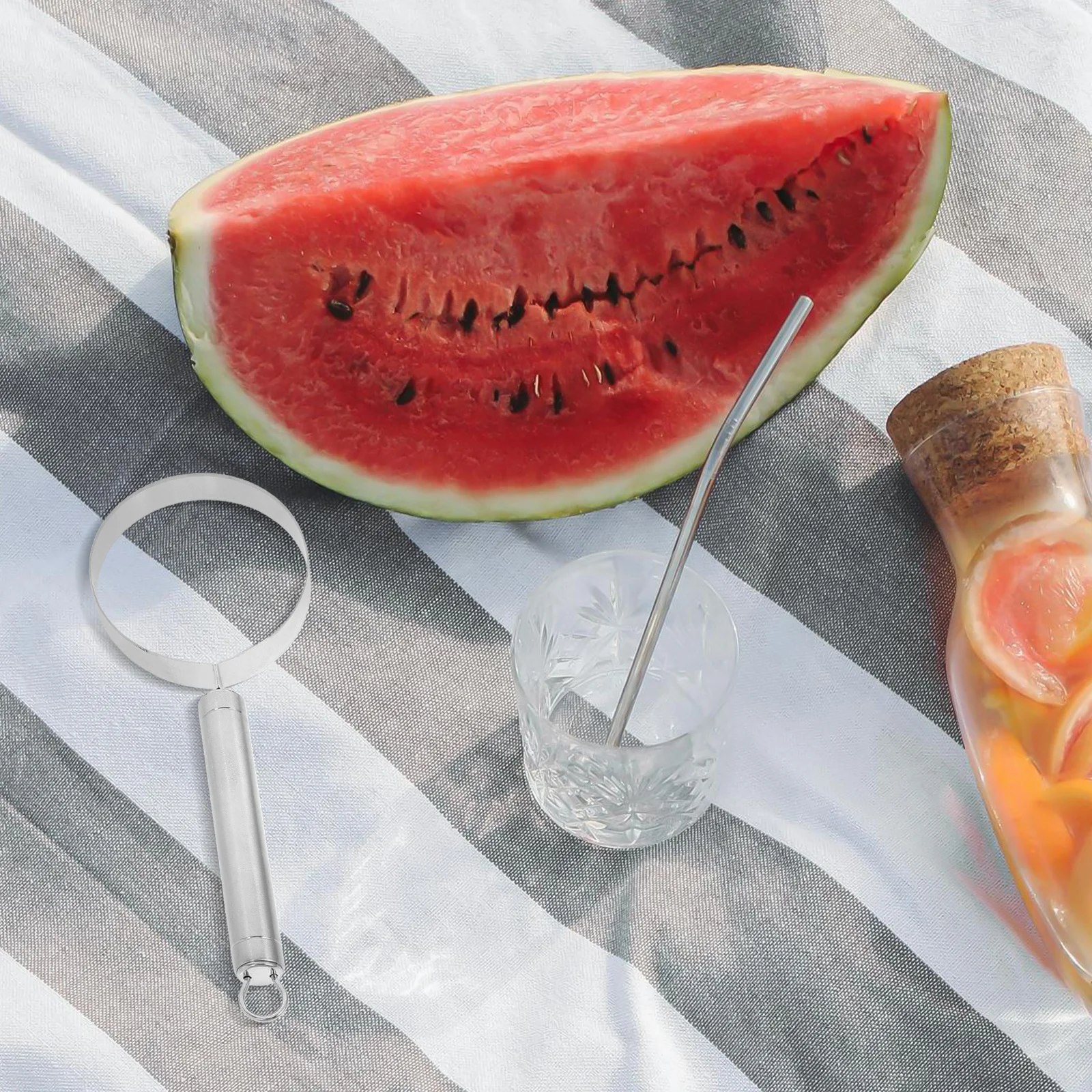 Сеялка для фруктов и мяса из нержавеющей стали - Фотография_2