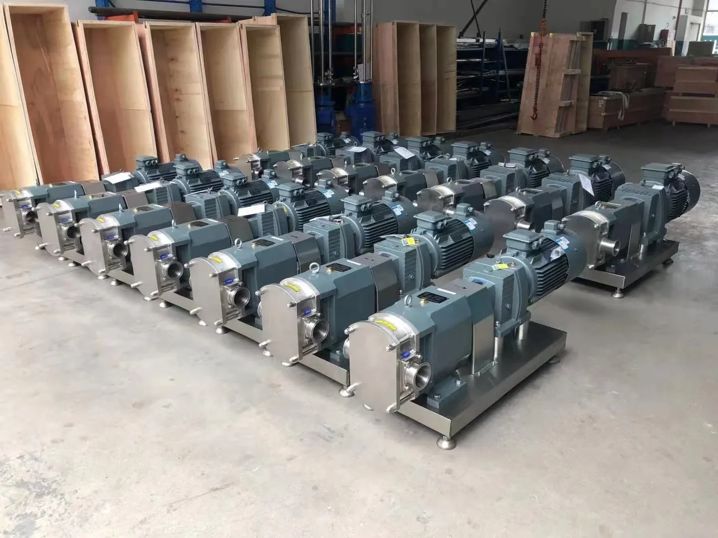 Пищевой роторный лопастной насос - Фотография_4