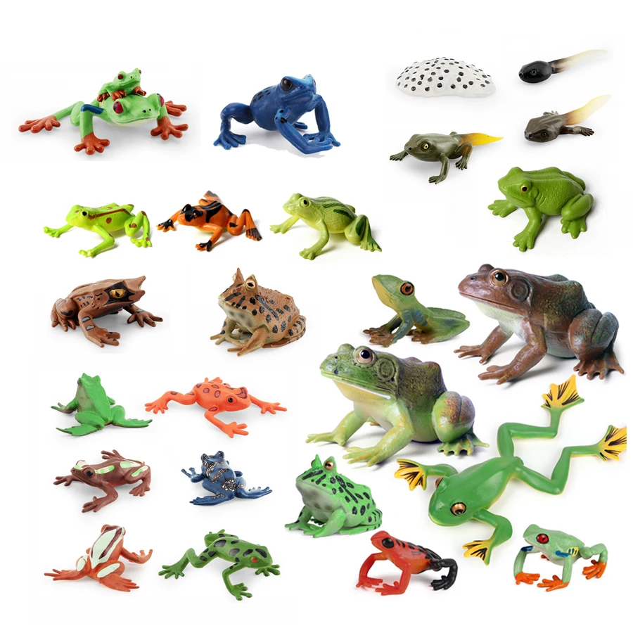 Реалистичные земноводные лягушки