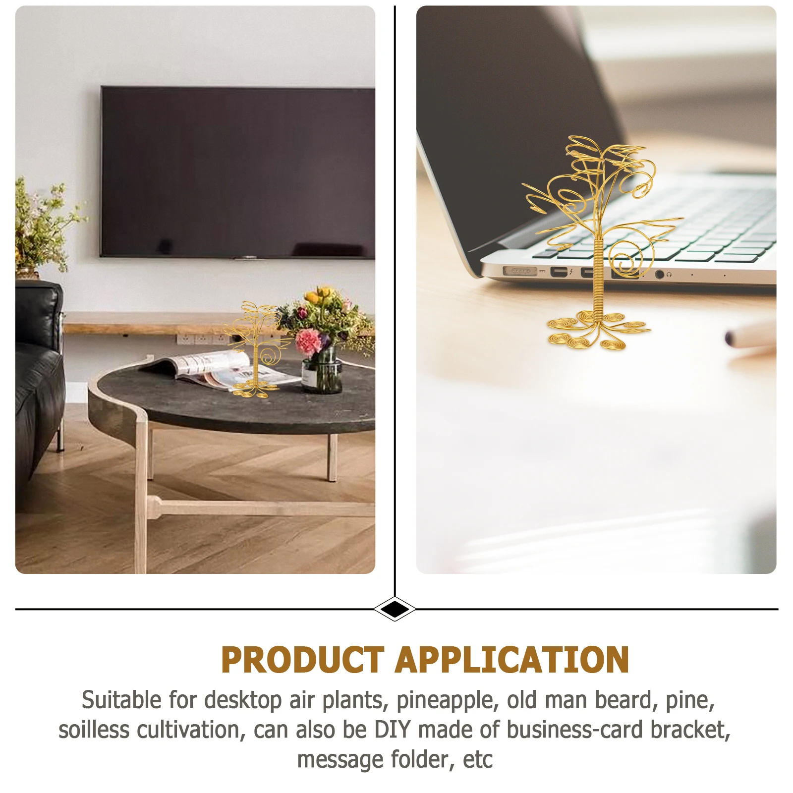 Держатель для воздушных растений - Фотография_6