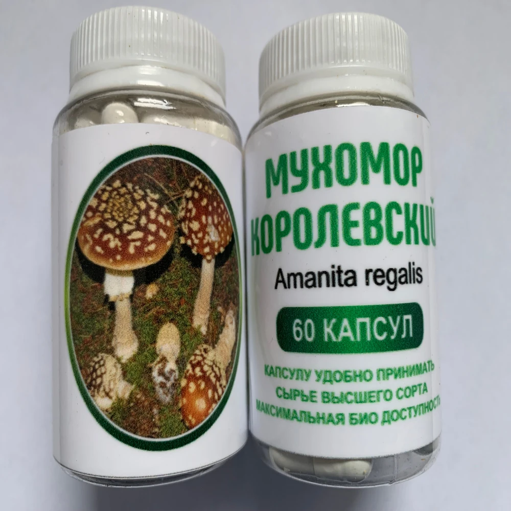 Мухомор  королевский 